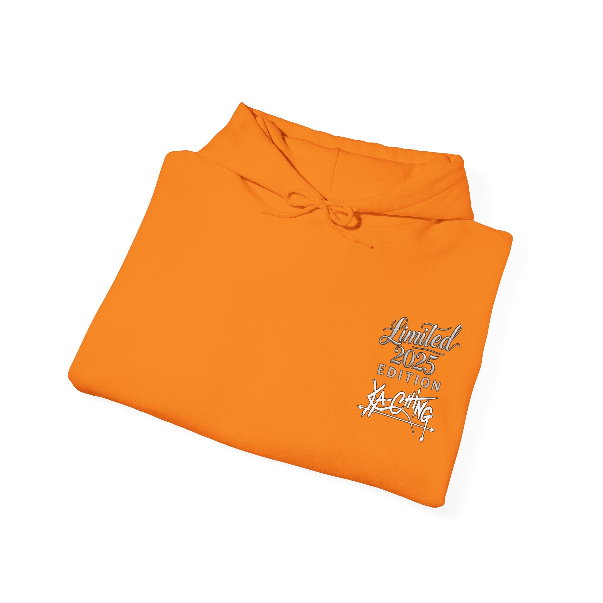 Rainbow bridge Charity Hoodie