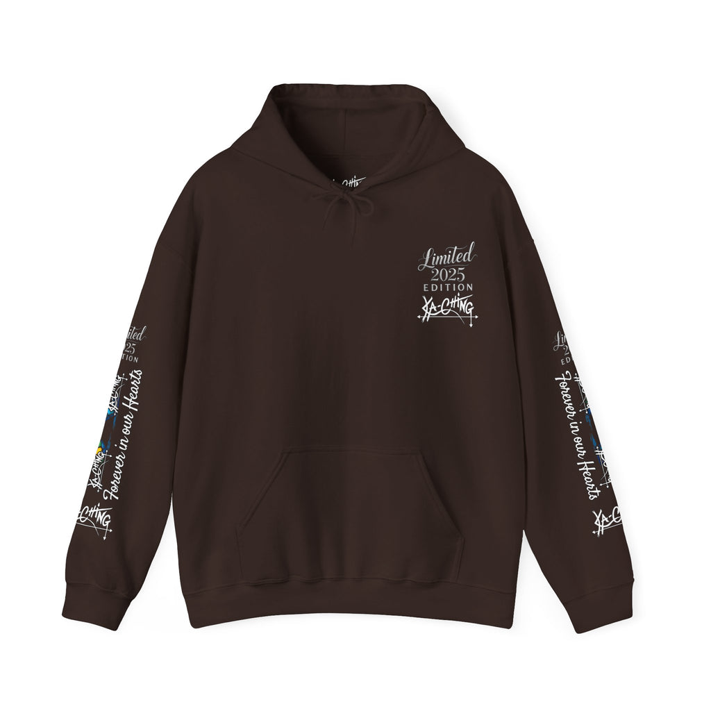 Rainbow bridge Charity Hoodie