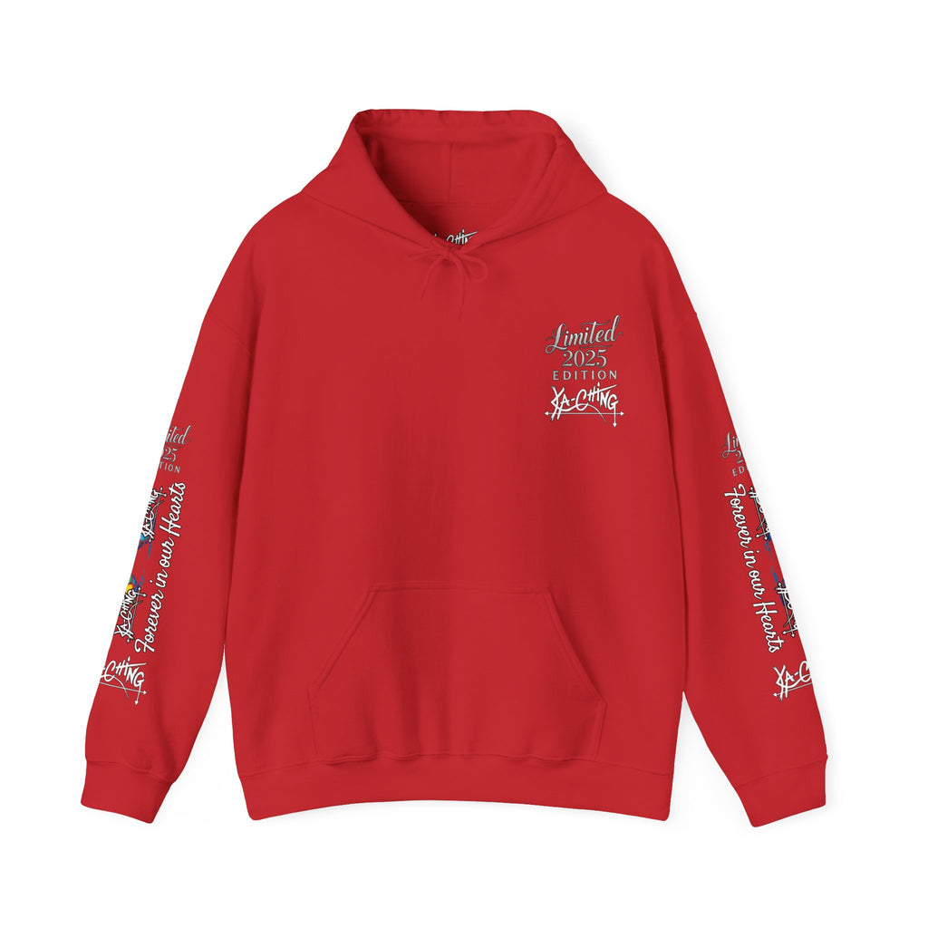 Rainbow bridge Charity Hoodie