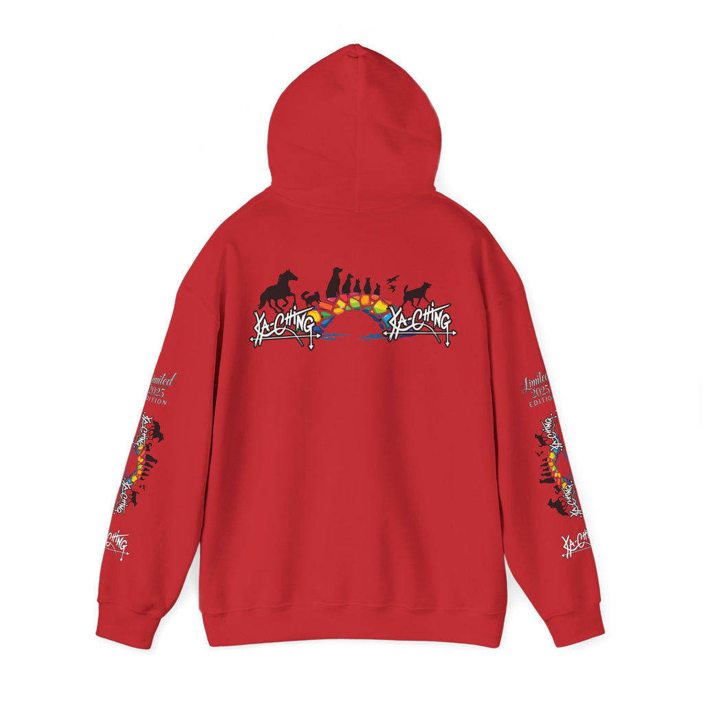 Rainbow bridge Charity Hoodie