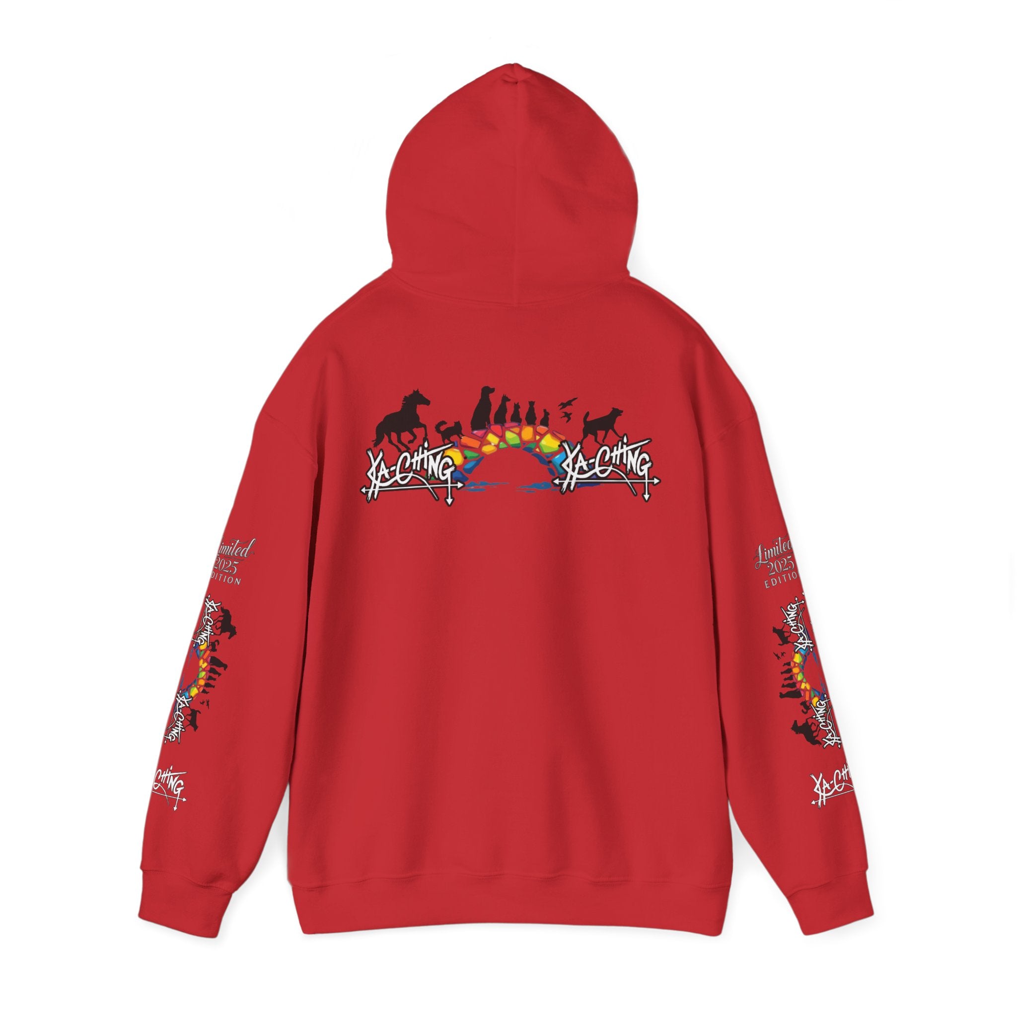 Rainbow bridge Charity Hoodie
