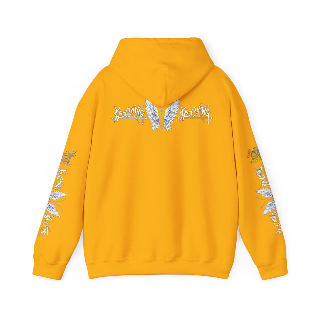 Premi, Angel Charity Unisex Hoodie for Everyday Wear, Perfect for Streaming and Casual Outings
