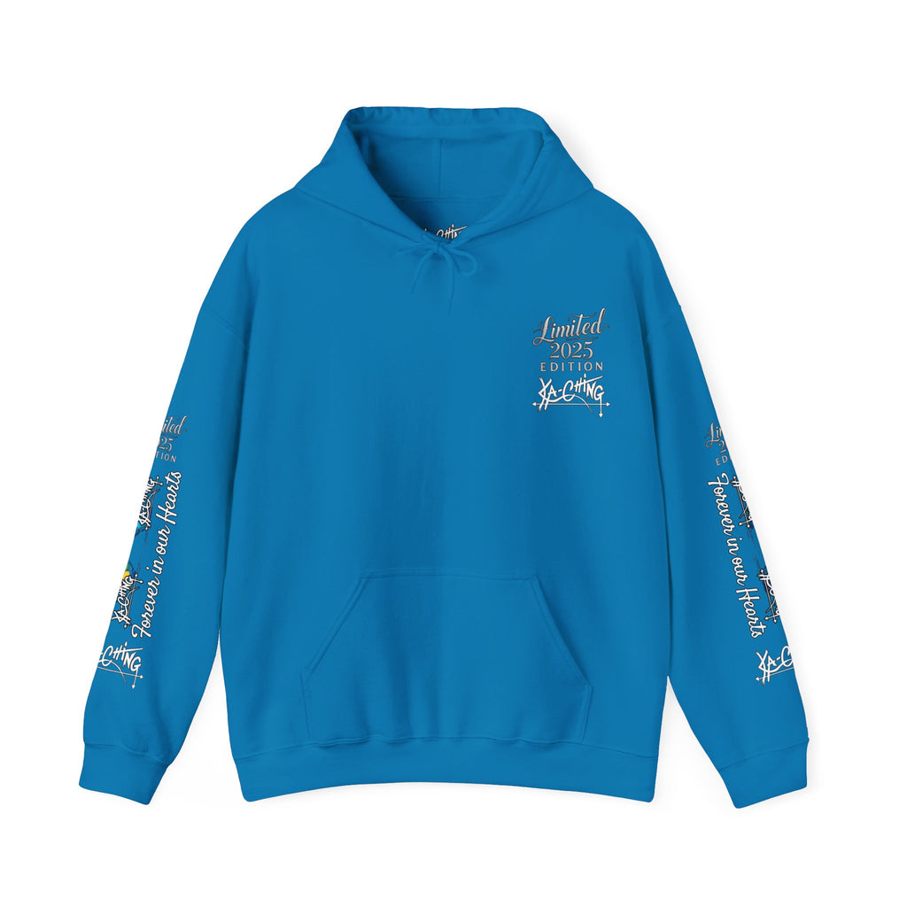 Rainbow bridge Charity Hoodie