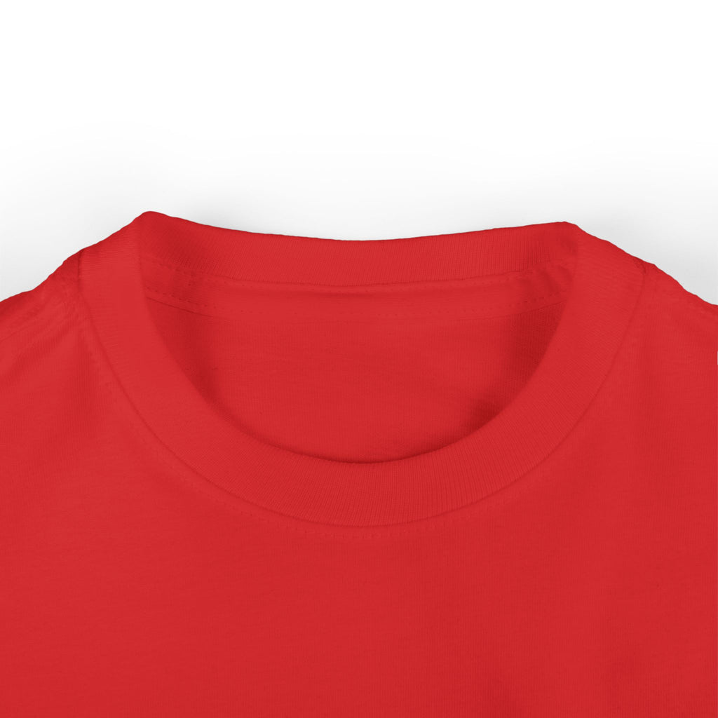 Cute Zebra Infant Tee, Baby Animal Shirt