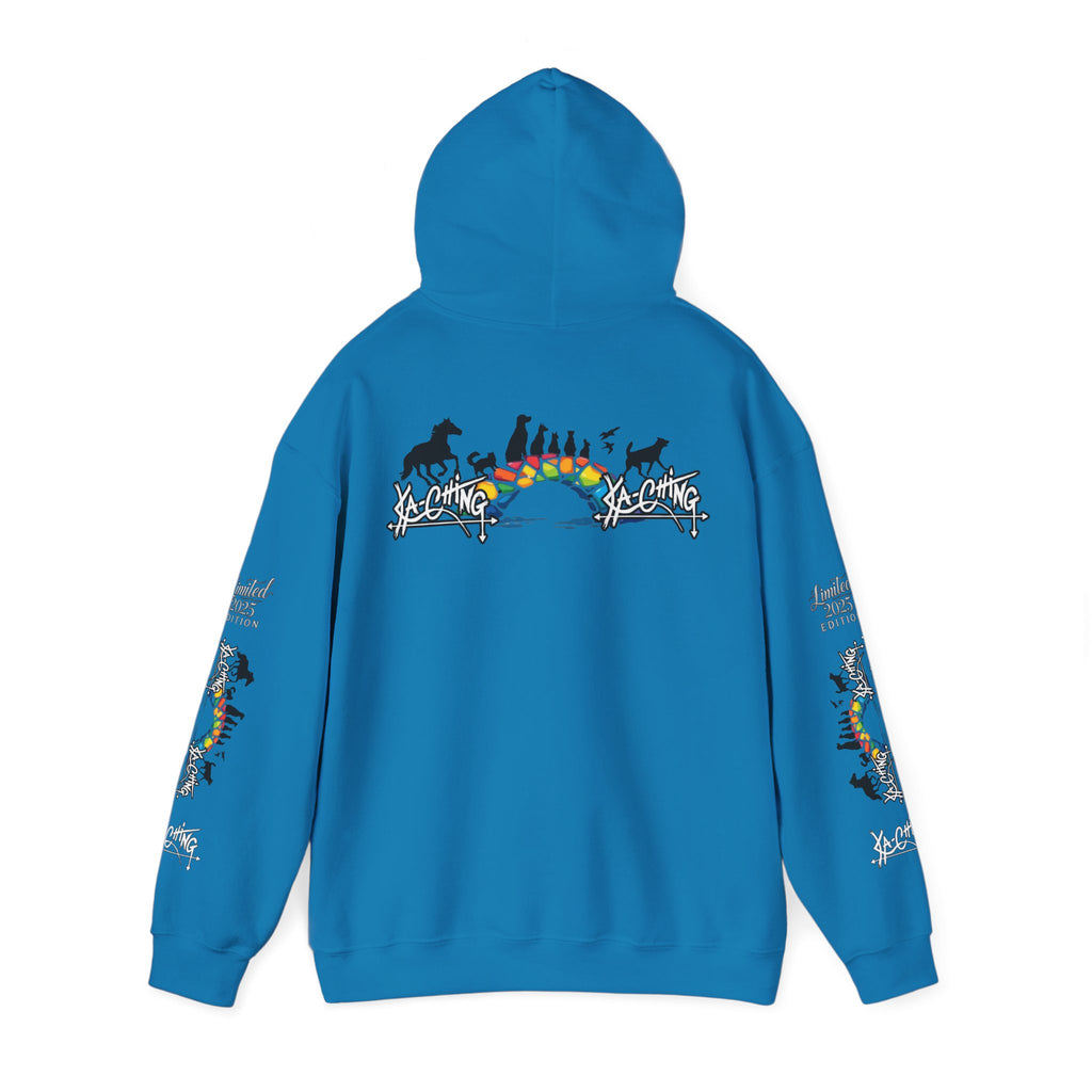 Rainbow bridge Charity Hoodie