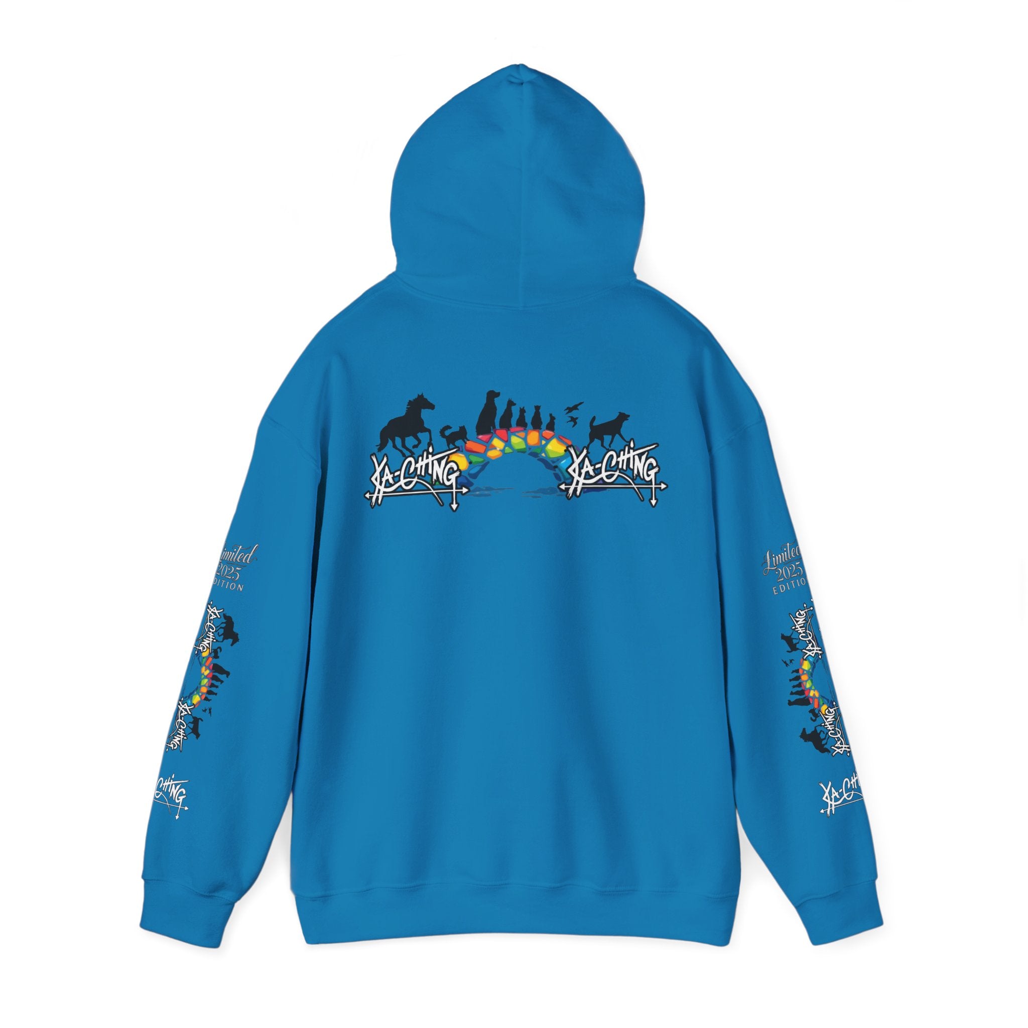 Rainbow bridge Charity Hoodie