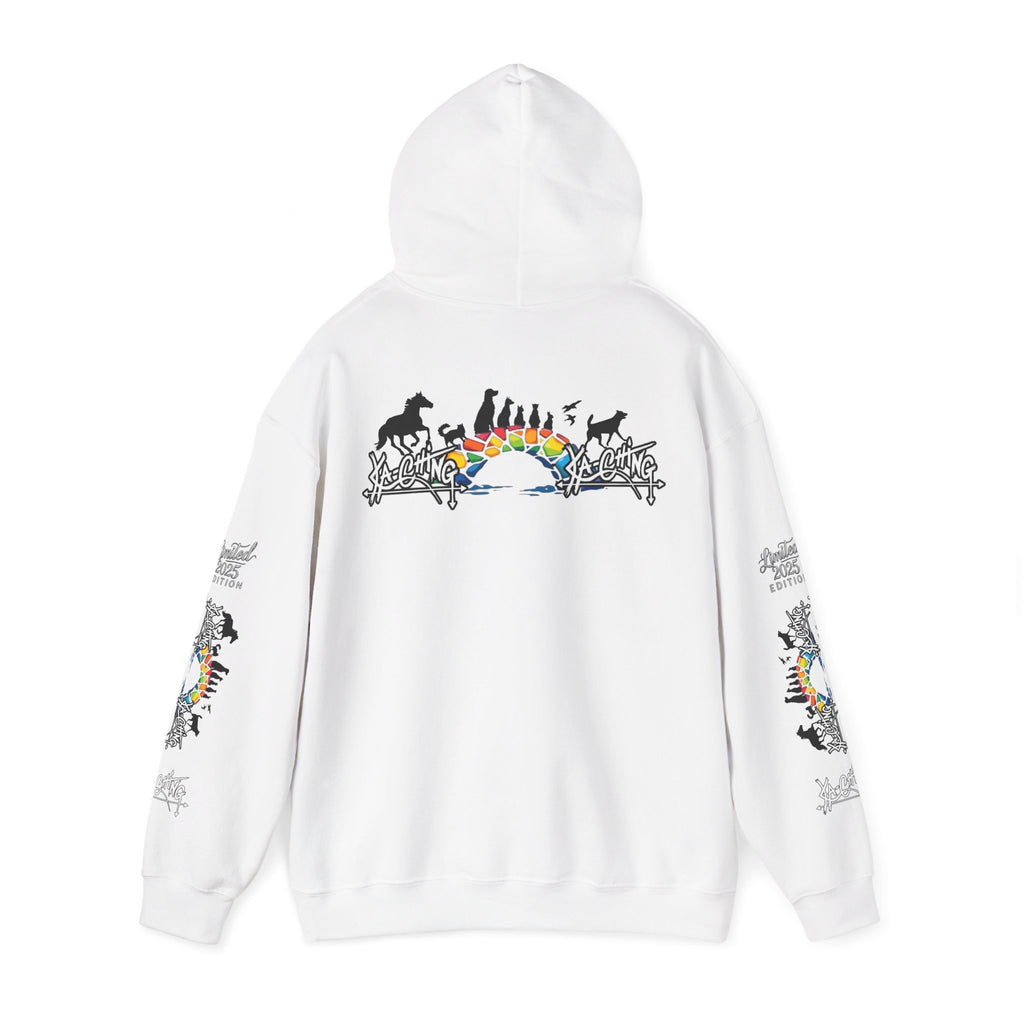 Rainbow bridge Charity Hoodie