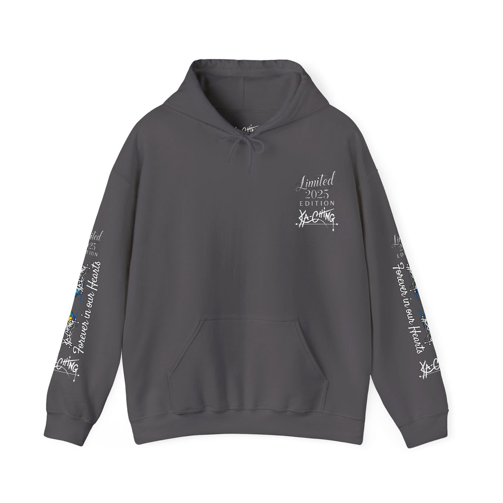 Rainbow bridge Charity Hoodie