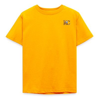 Diamond Range hoax 1872 T-Shirt limited edition dark background - gold
