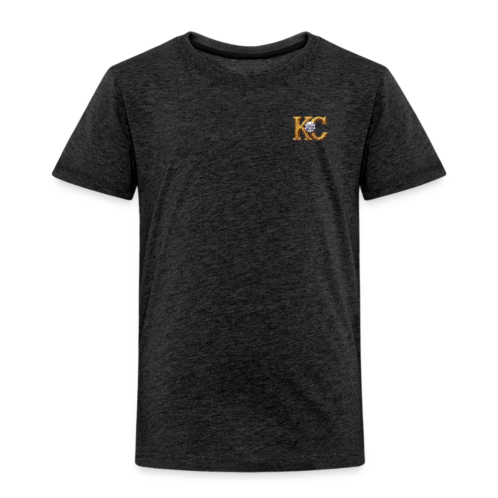 Diamond Range Diamond Hoax Tee limited edition - charcoal grey