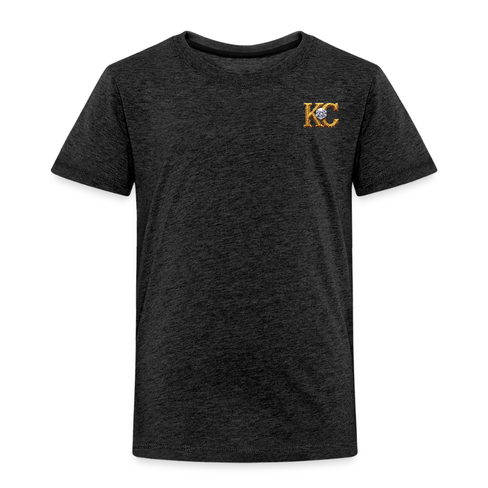Diamond Range The Great Hoax 1872 Tee limited edition - charcoal grey