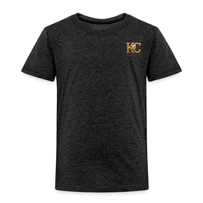 Diamond Range The Great Hoax 1872 Tee limited edition - charcoal grey