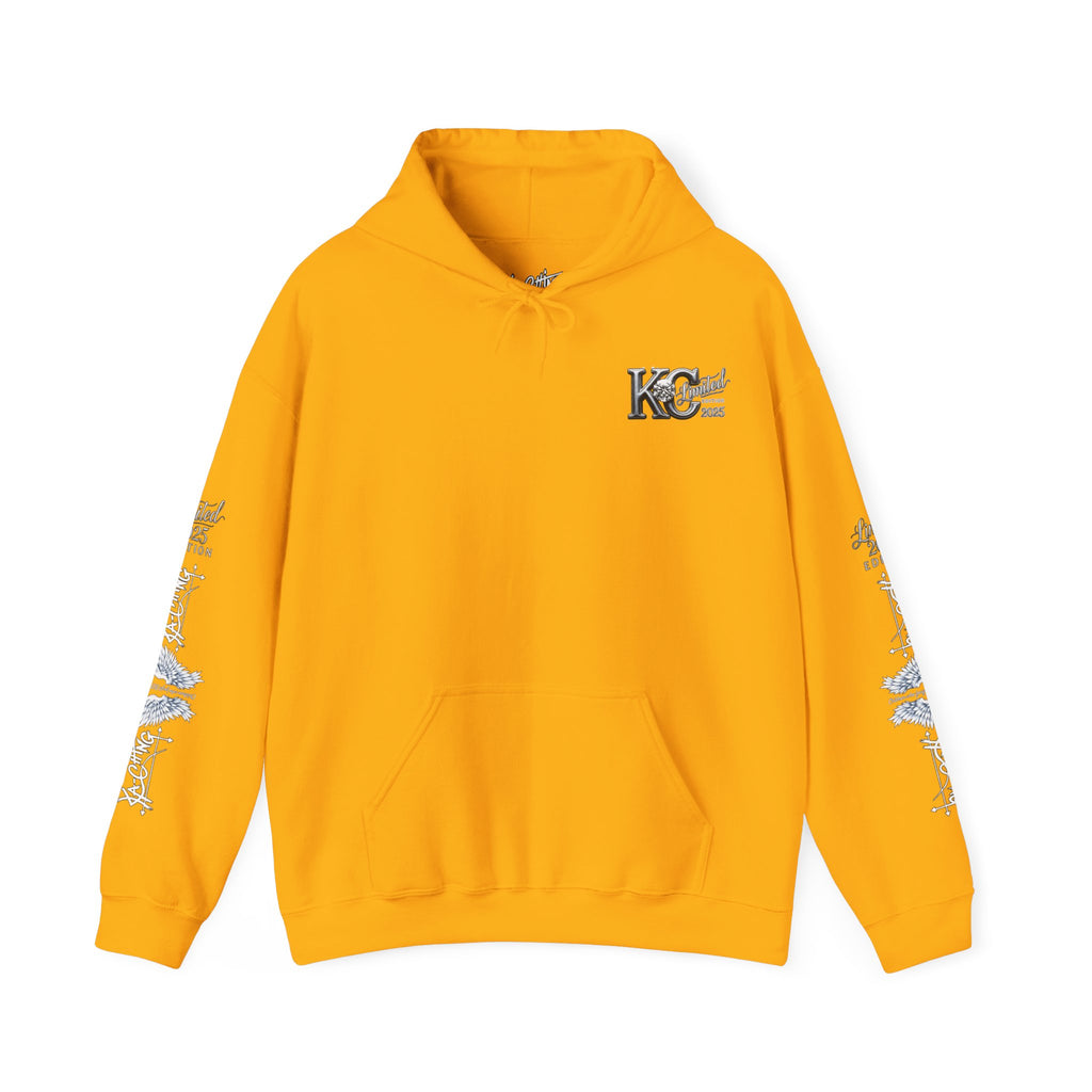 Premi, Angel Charity Unisex Hoodie for Everyday Wear, Perfect for Streaming and Casual Outings