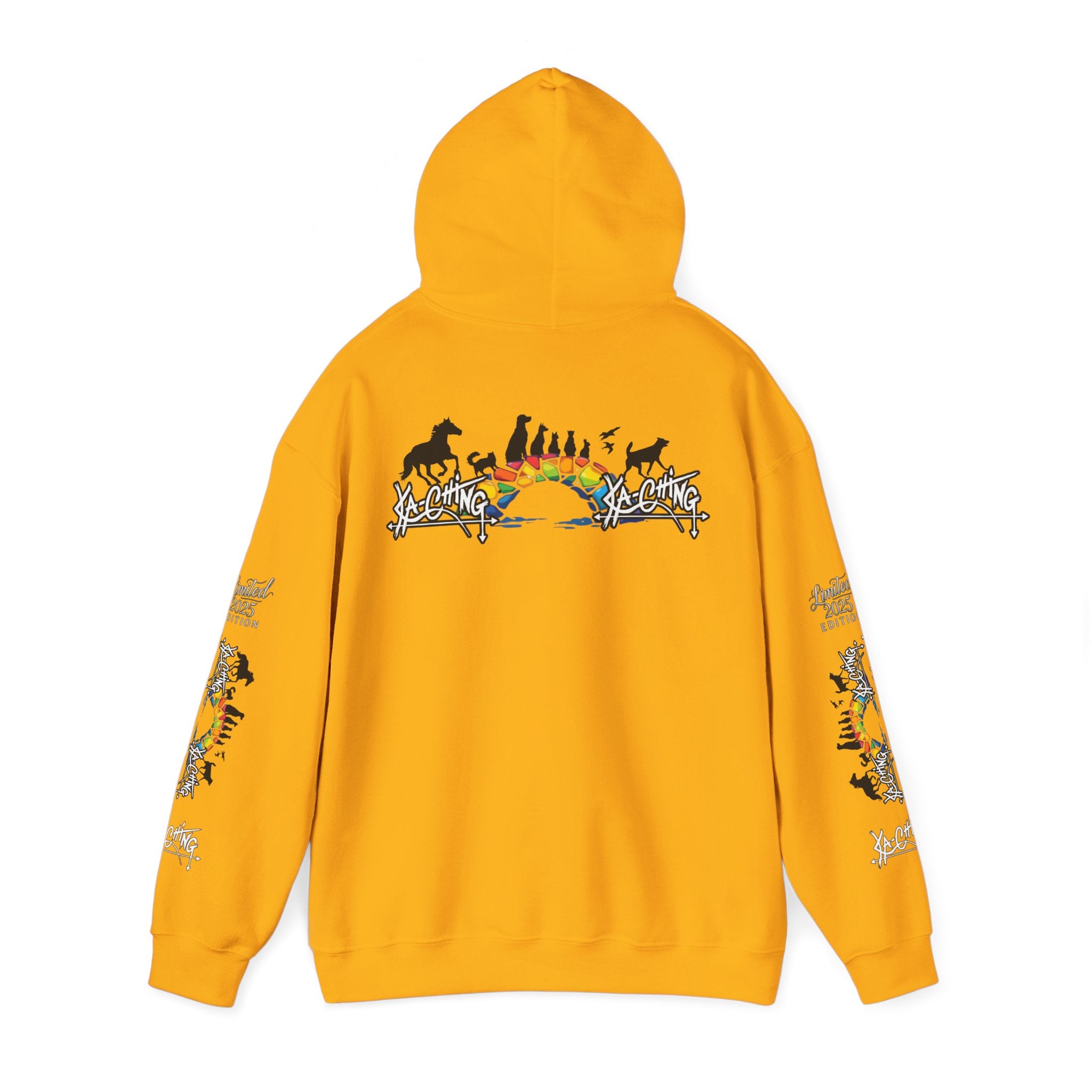 Rainbow bridge Charity Hoodie