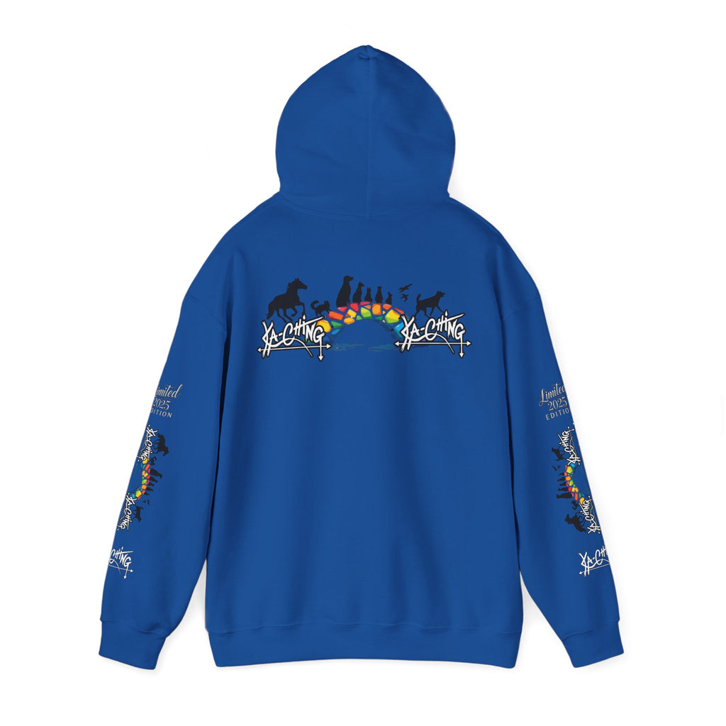 Rainbow bridge Charity Hoodie