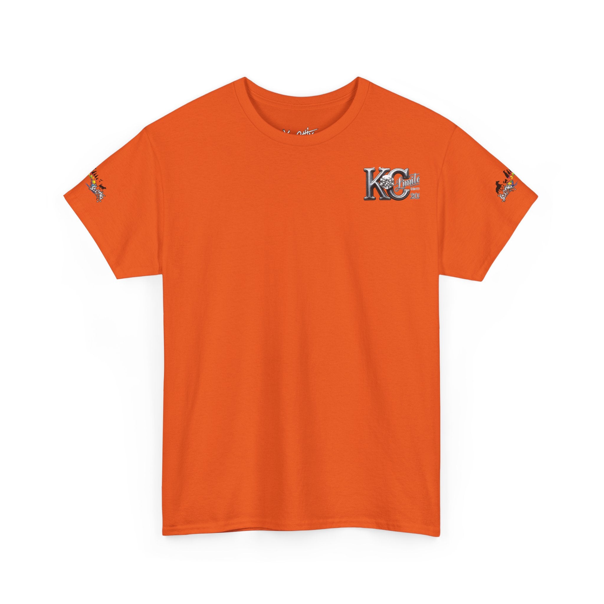 Rainbow bridge Charity unisex T-Shirt