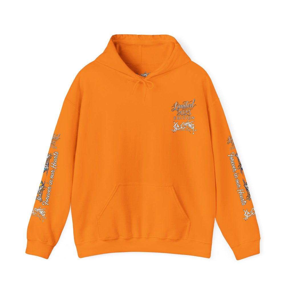 Rainbow bridge Charity Hoodie