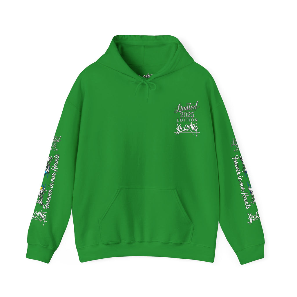 Rainbow bridge Charity Hoodie