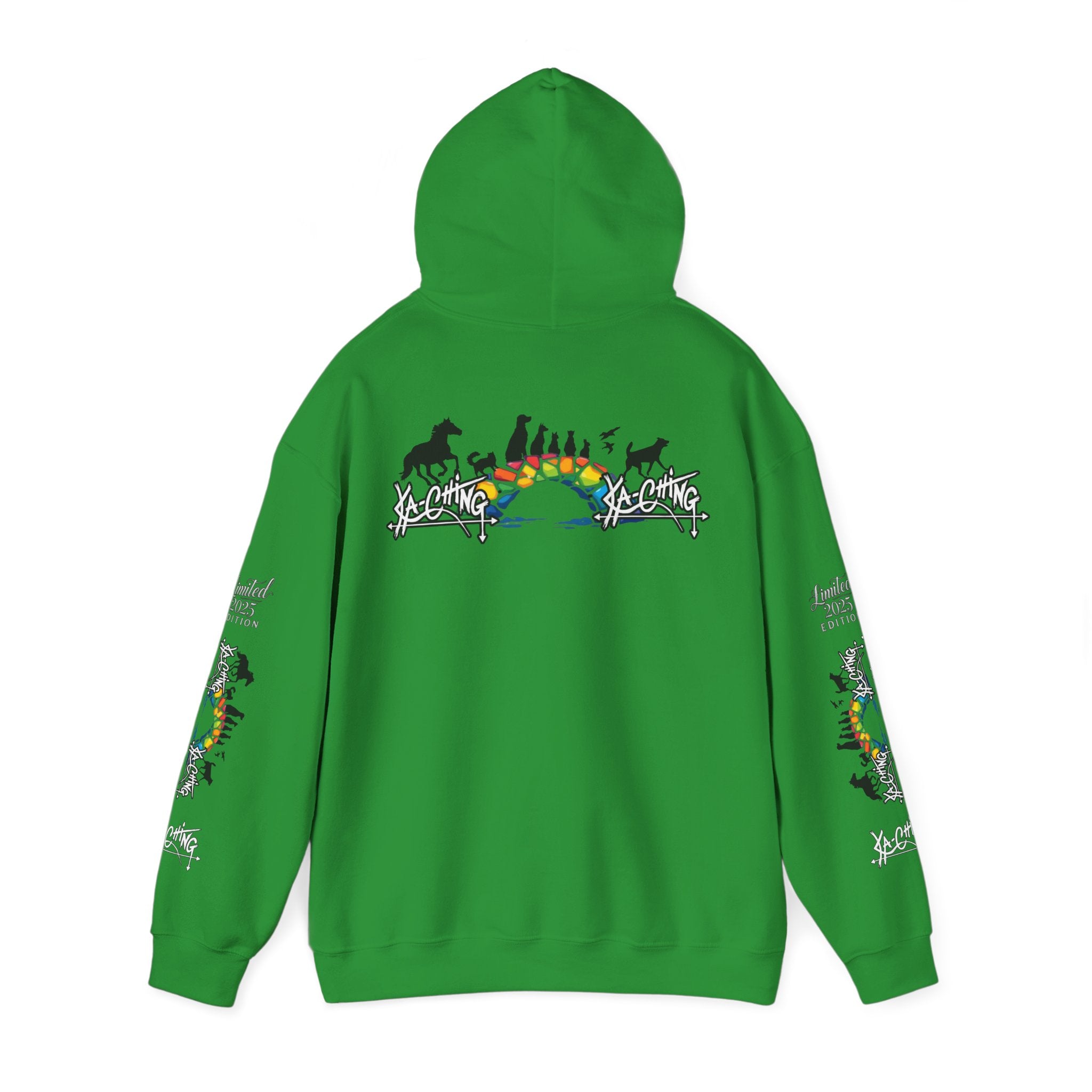 Rainbow bridge Charity Hoodie