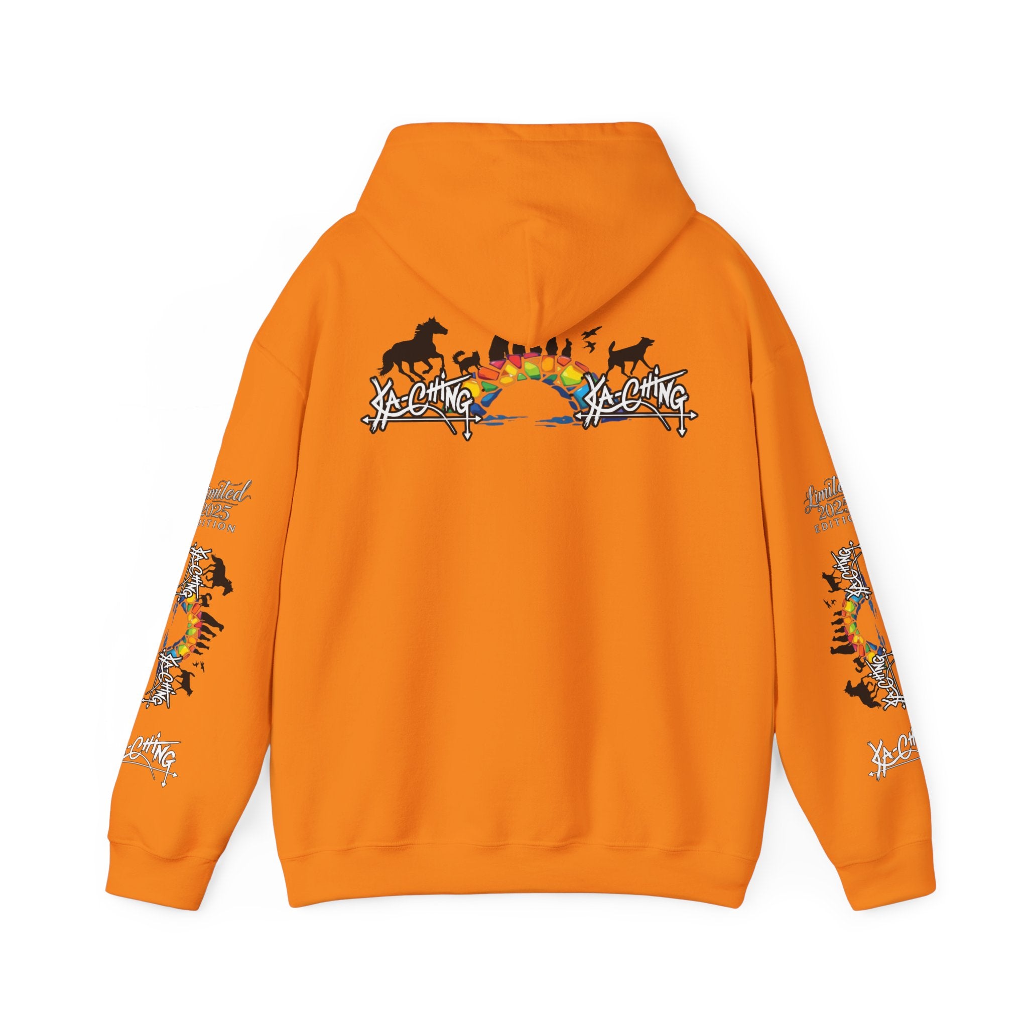 Rainbow bridge Charity Hoodie