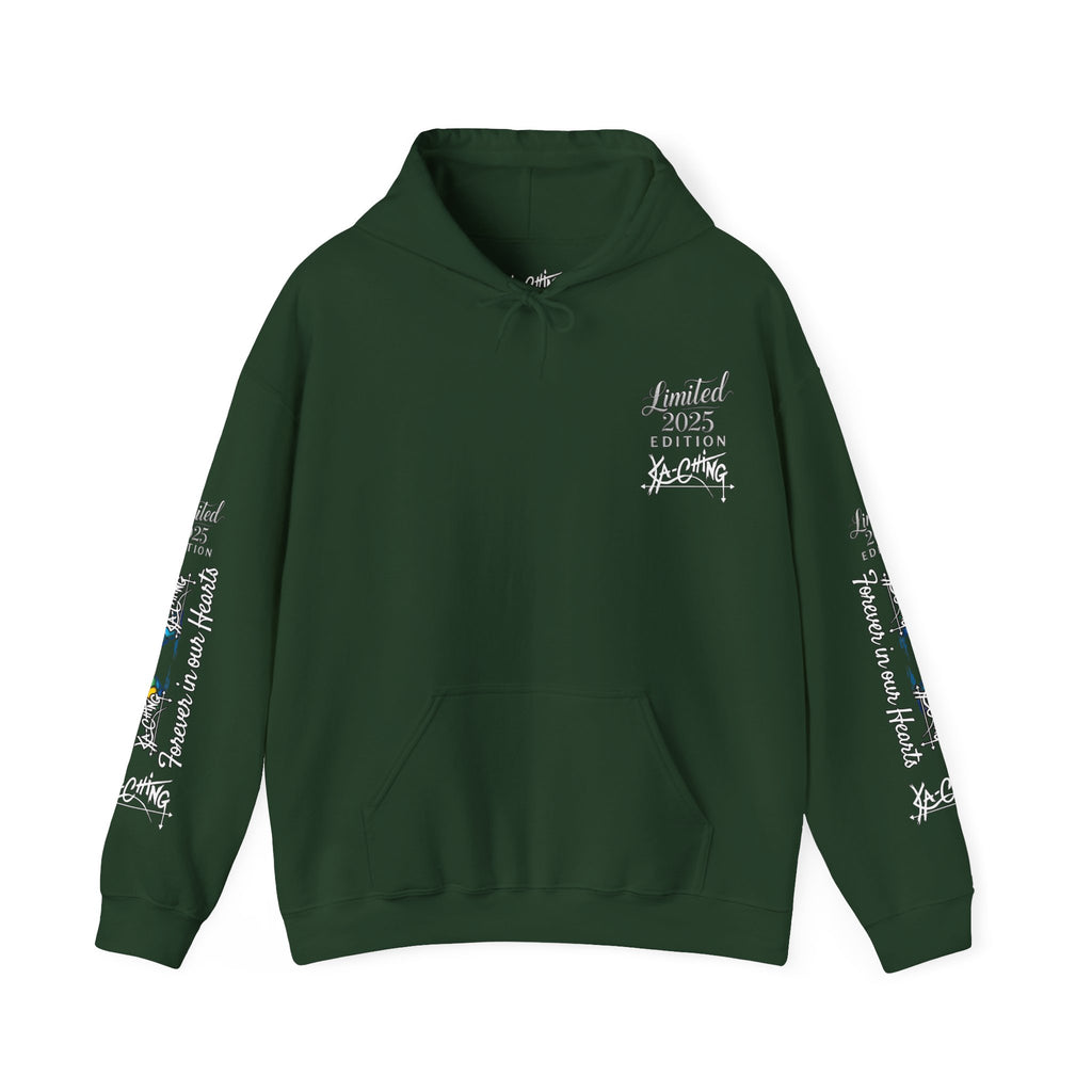 Rainbow bridge Charity Hoodie
