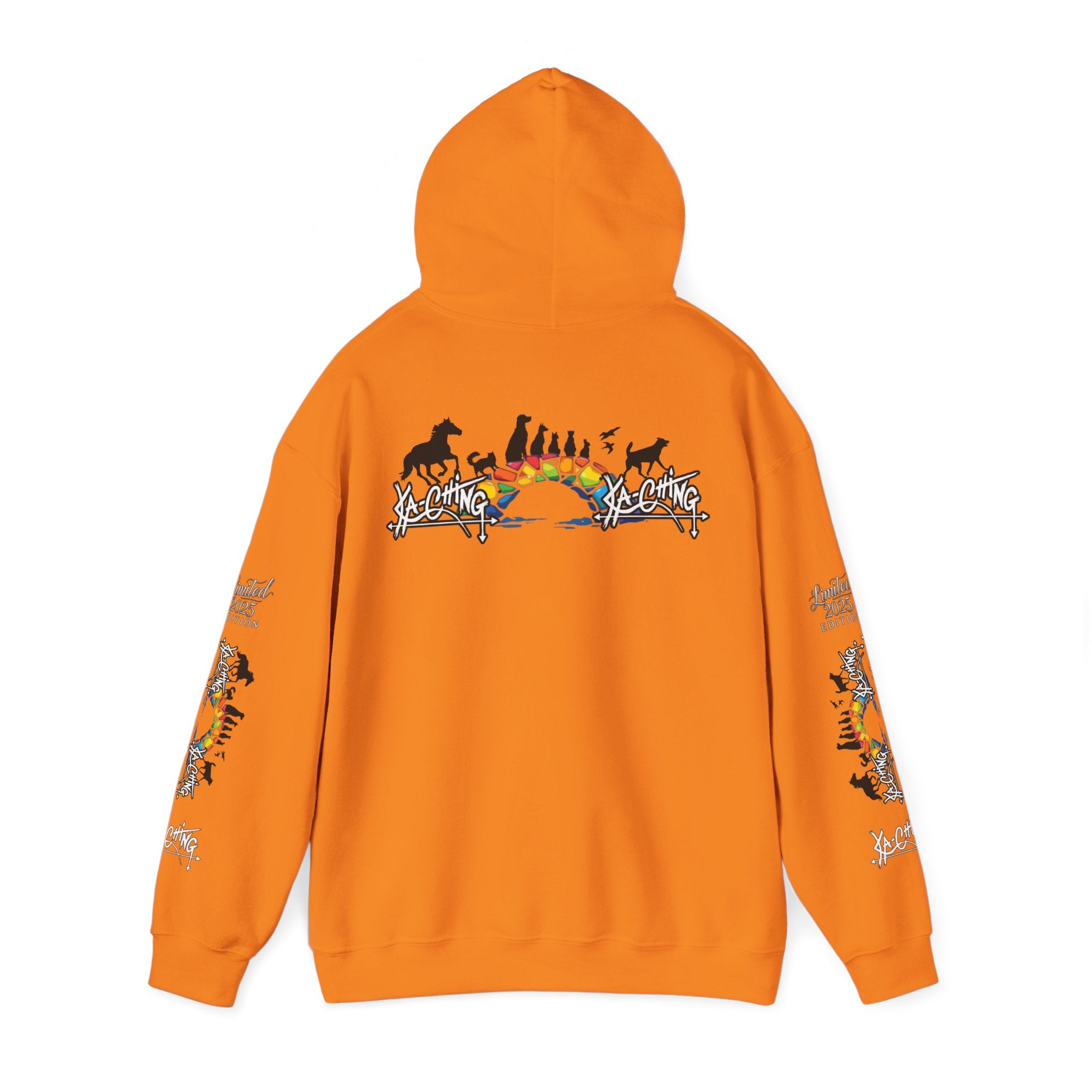 Rainbow bridge Charity Hoodie
