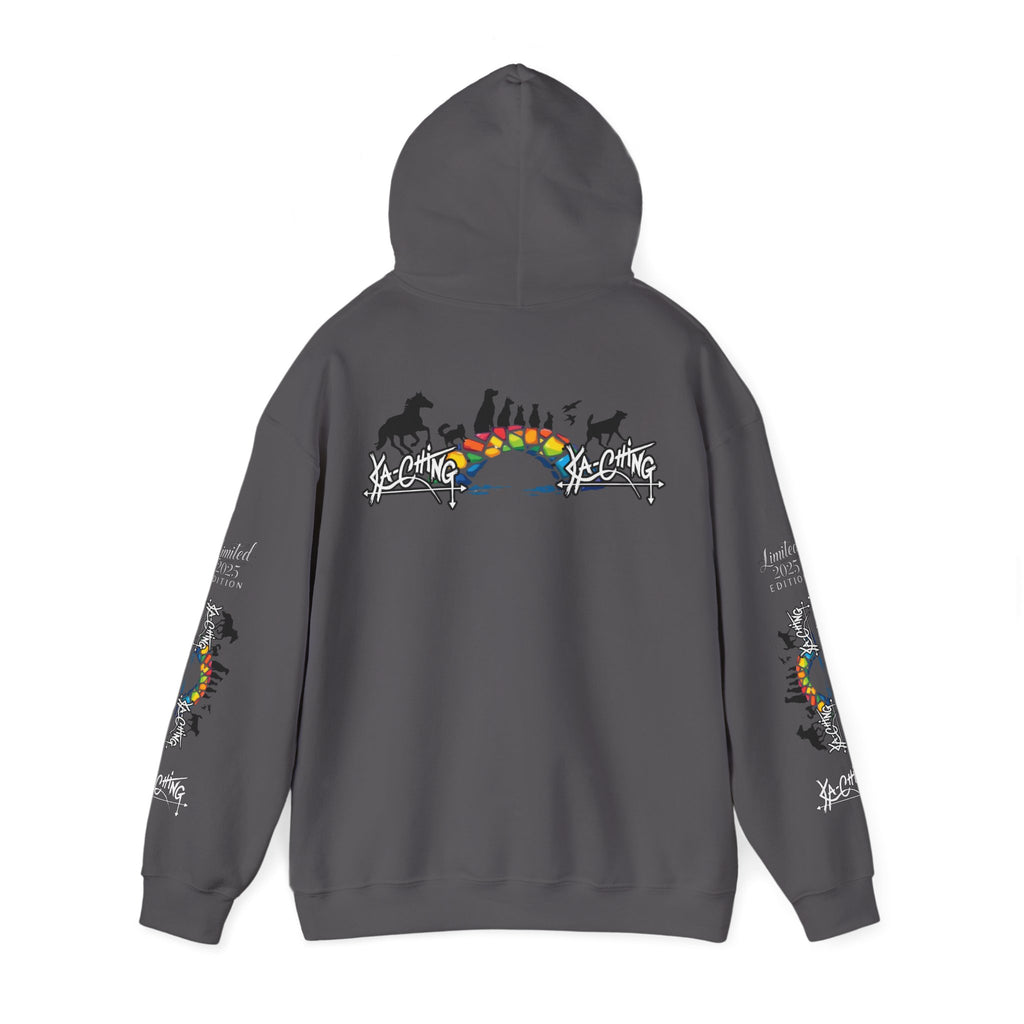 Rainbow bridge Charity Hoodie